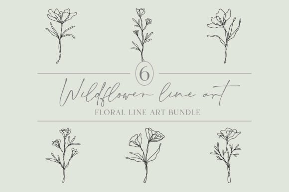 Flower Line Art Bundle 6 Wildflowers