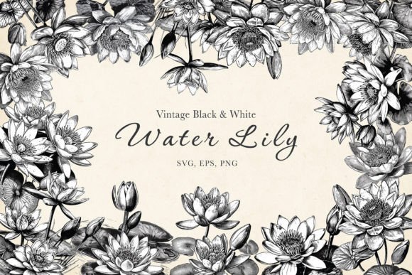 Lotus, Waterlily Vintage B W SVG Bundle