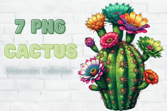 Watercolor Cactuses Clipart, Succulent